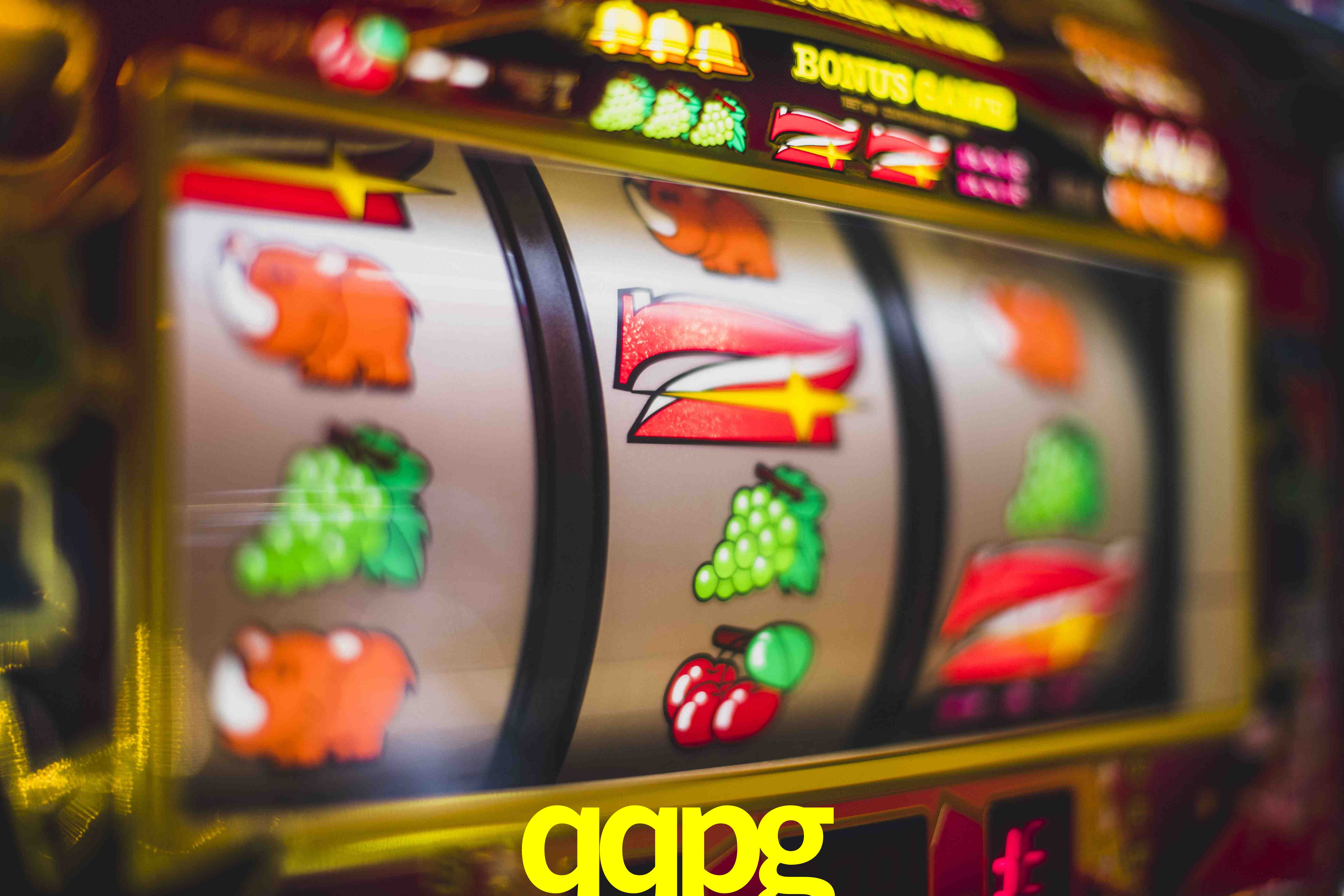 Basketball Betting qqpg